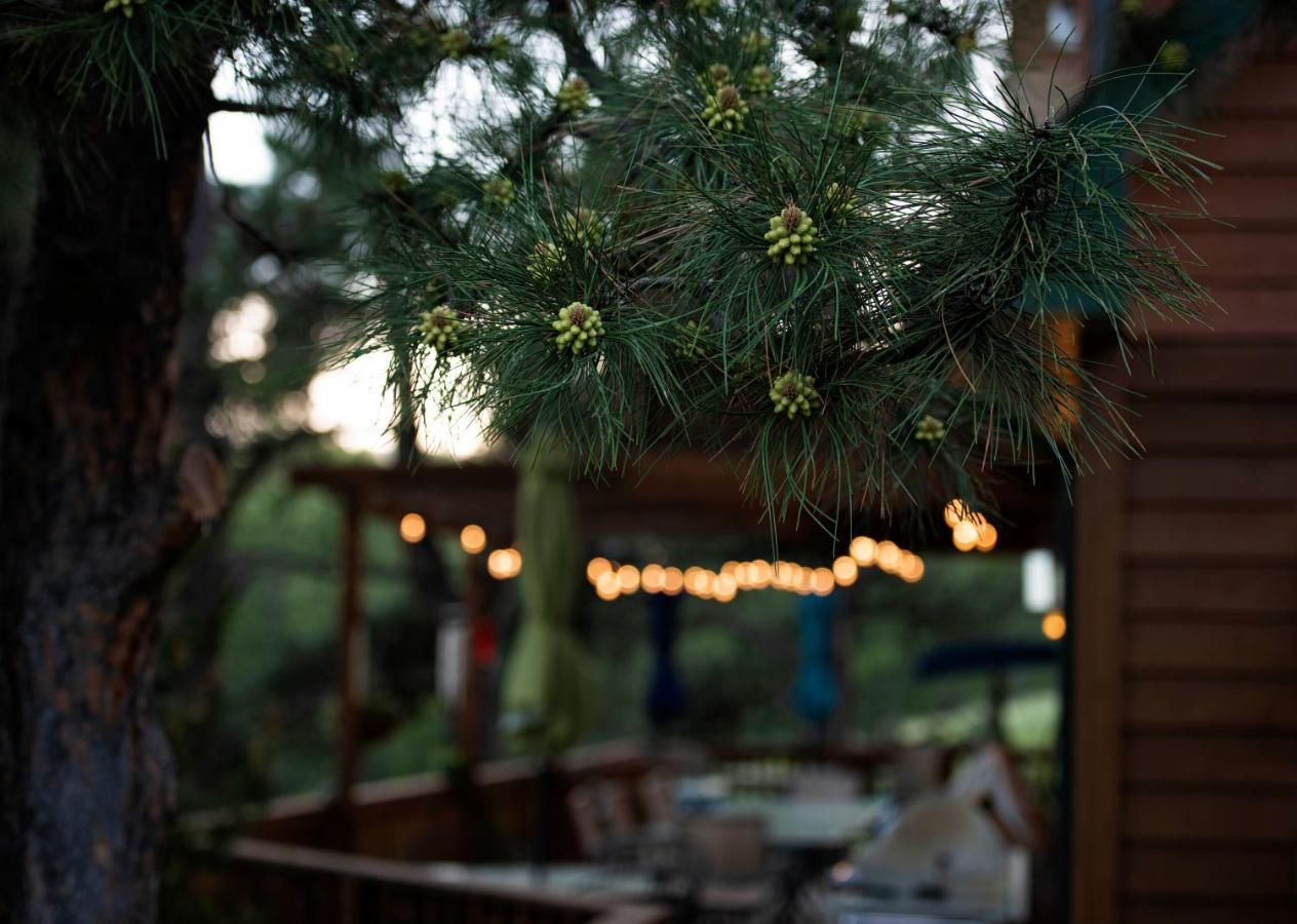 Coyote Blues Village Bed & Breakfast Silver City 외부 사진